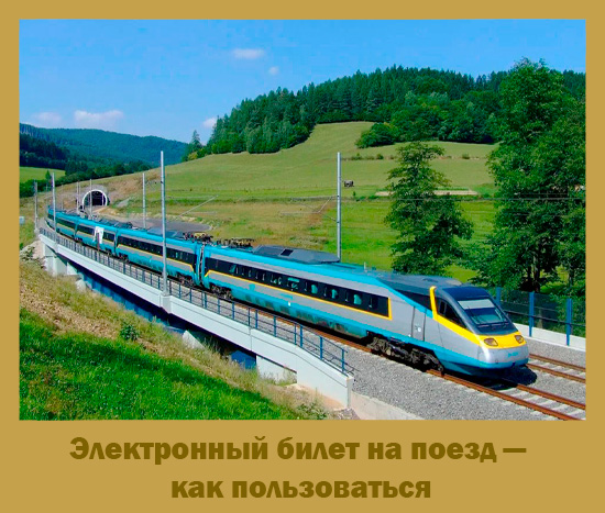 Электронный билет на поезд